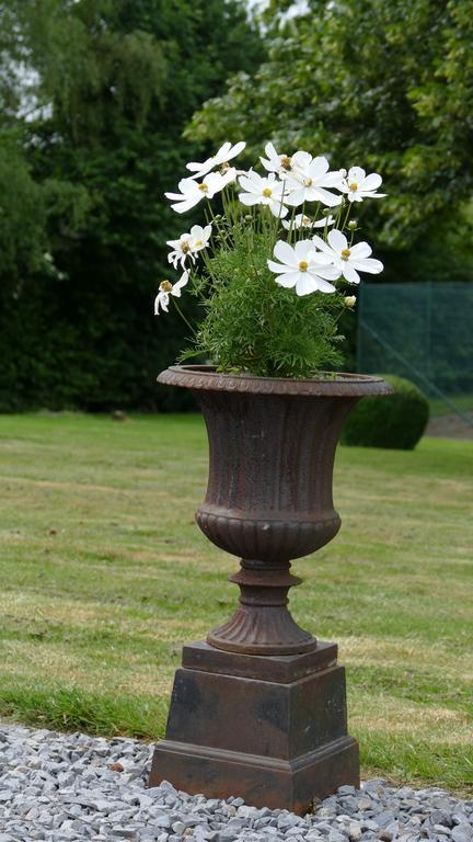 Aux Cosmos Bed and Breakfast Olne Kamer foto